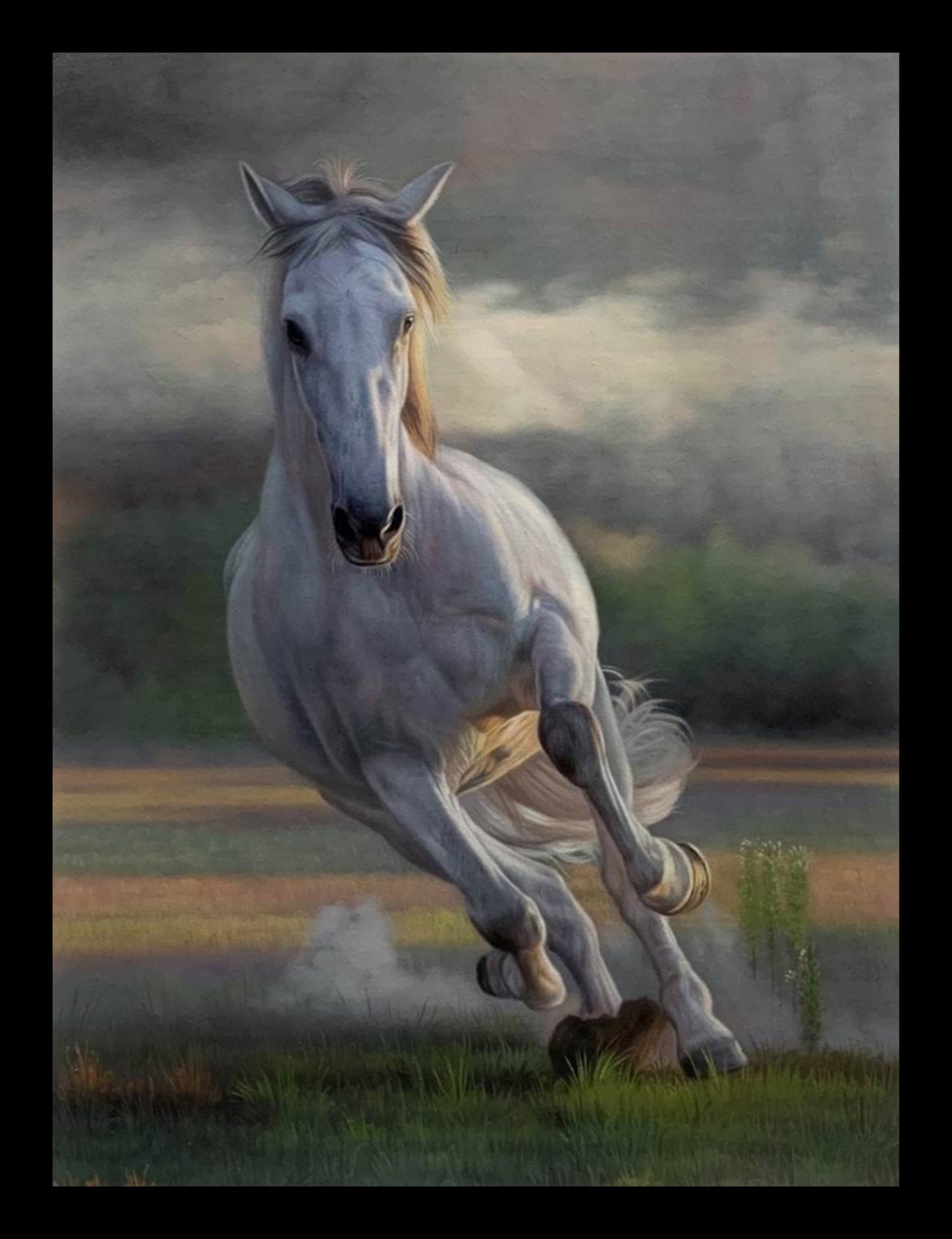 White Horse in the Meadow