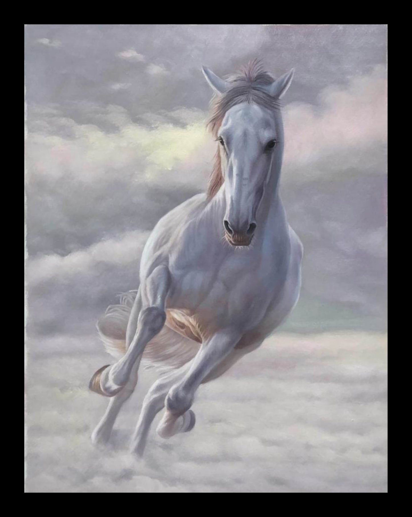 white horse running in white background