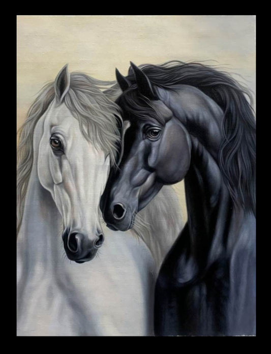 Black horse and white horse portrait Oil painting hand-made  30×40cm