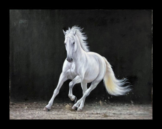 White horse in black background  Oil painting hand-made 30×40cm