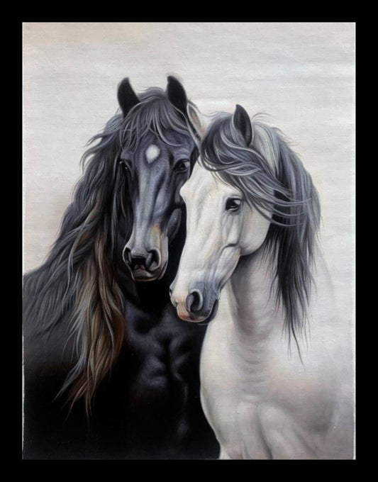 Black horse and white horse