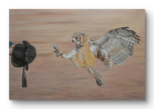 The Flying Falcon